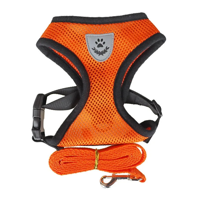 Adjustable Cat Harness and Leash Set for Safe Outdoor Walks