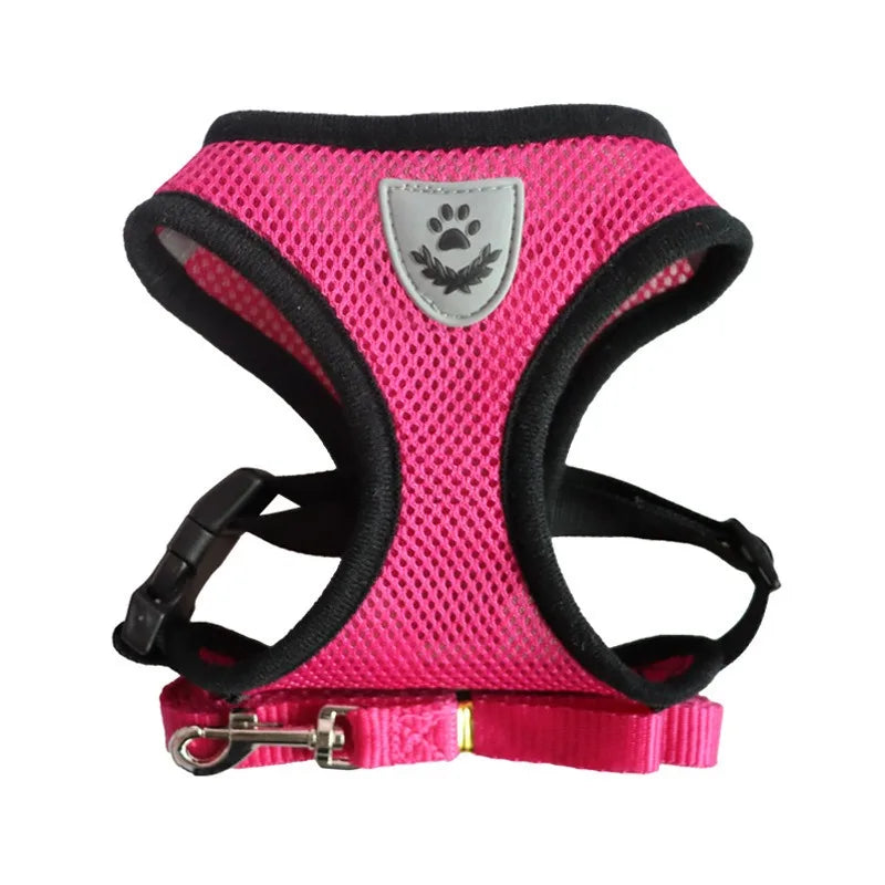 Adjustable Cat Harness and Leash Set for Safe Outdoor Walks